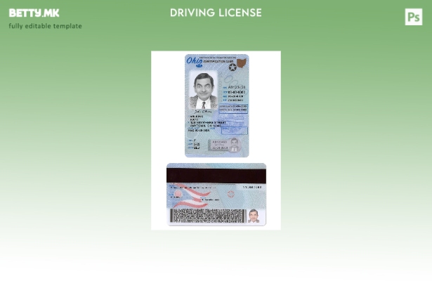 Возачка дозвола во модерен стил САД Охајо под шаблон